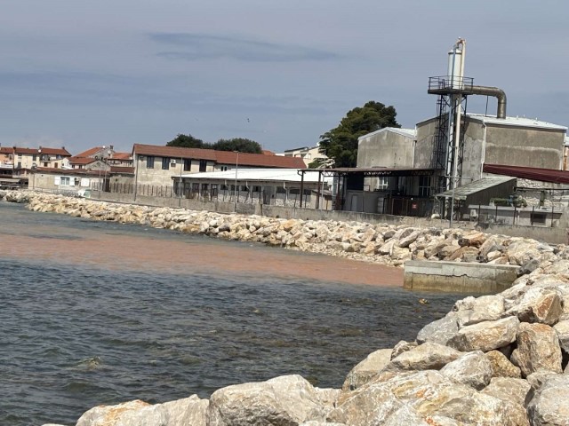 Zacrvenilo se more kod Podravke, ali ne od paradajza!